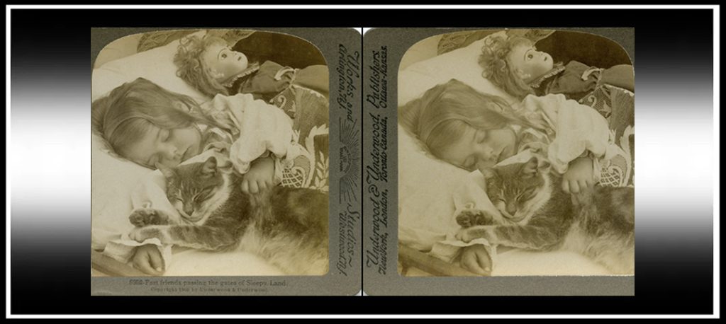 Free Chrome Browser Extension. Step-by-Step Guide – The Stereoscopy Blog