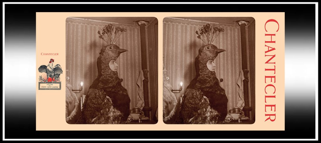 Edmond Rostand’s “Chantecler” in the Stereoscope – The Stereoscopy Blog