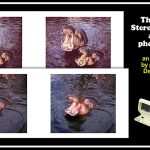 ‘The Weetabix Stereoscopic Cards and their Photographers’ Free Online 3-D Talk, 19th Aug 2026 – The Stereoscopy Blog